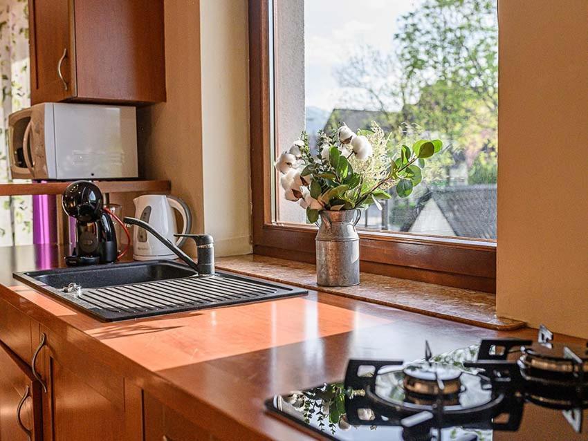 Visitzakopane - Apartament Rodzinny Екстер'єр фото